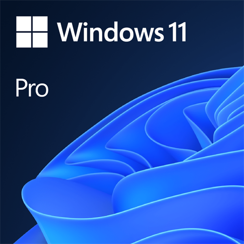 Big_FQC-10528-header35422 Microsoft Windows 11 Professional DVD Single User - Image 1